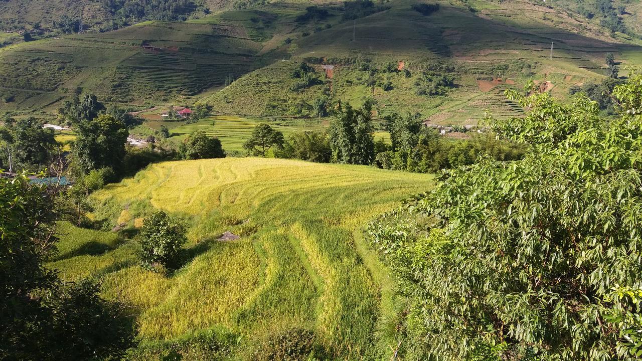 Ta Van Green Hills Homestay Sa Pa Esterno foto